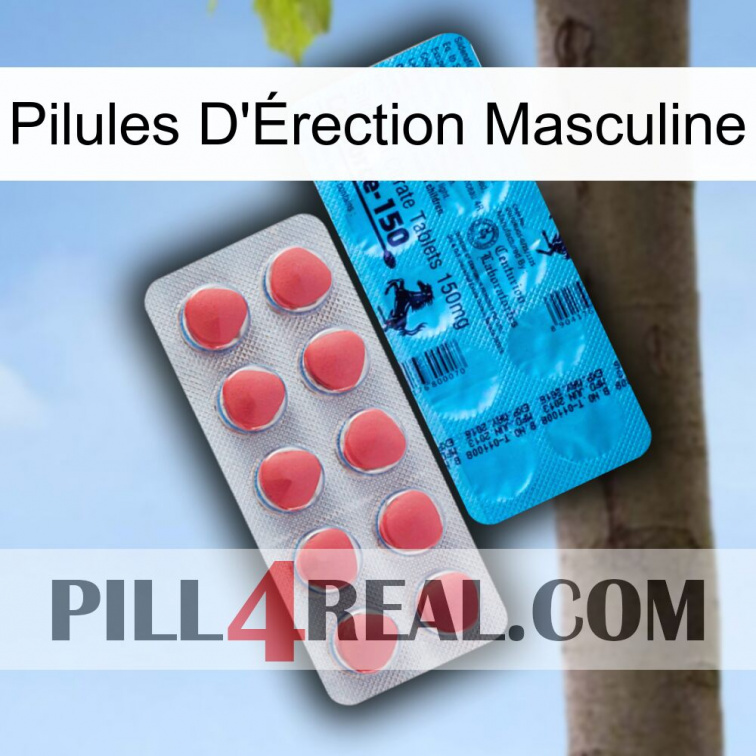 Male Erection Pills new14